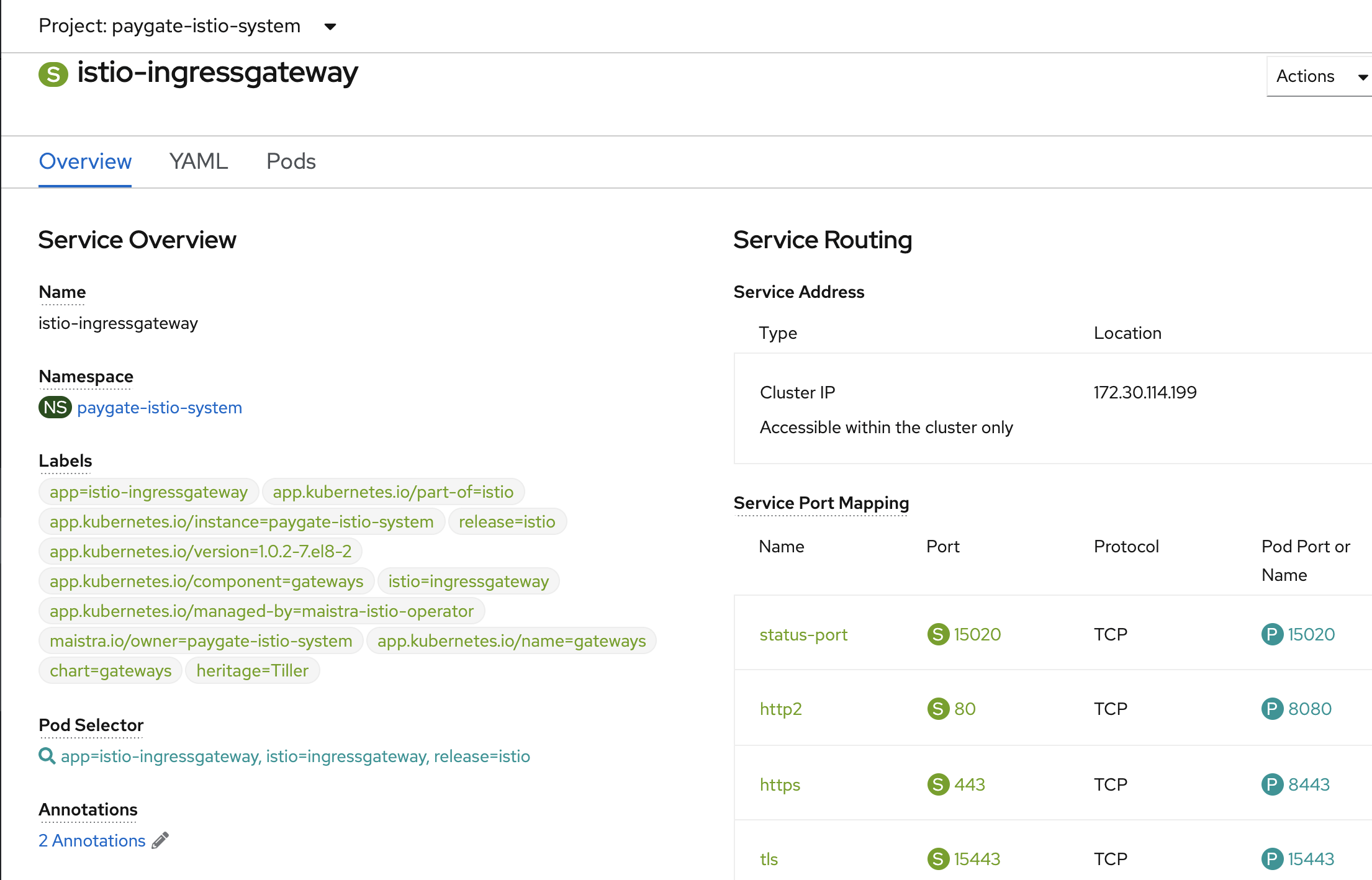 Setting Kiali Monitoring UI for Istio using SpringBoot